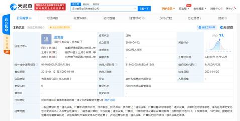深圳錘子科技數(shù)碼科技注銷，軟件技術轉讓引發(fā)行業(yè)關注